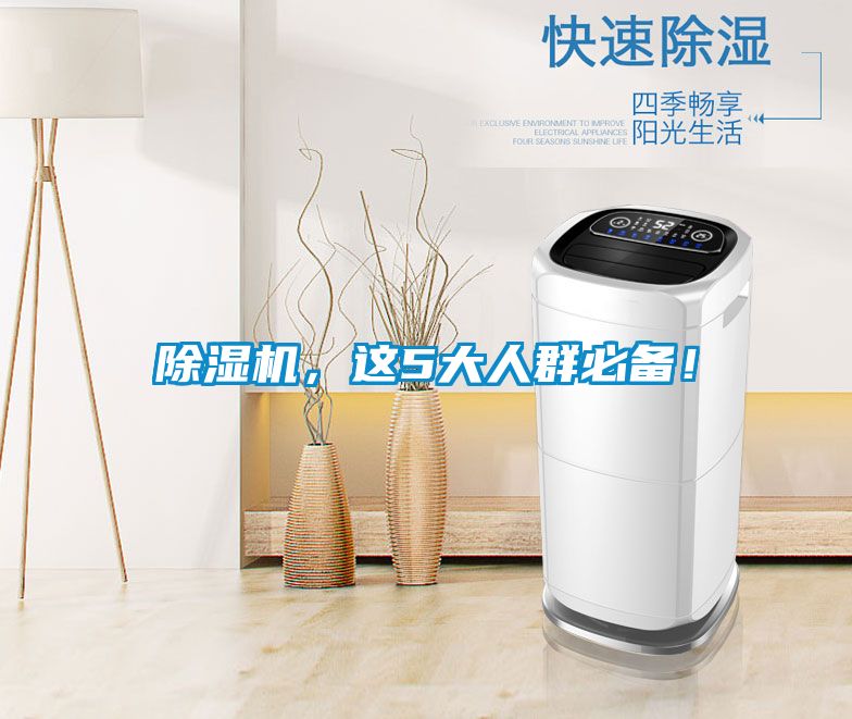 除濕機，這5大人群必備！