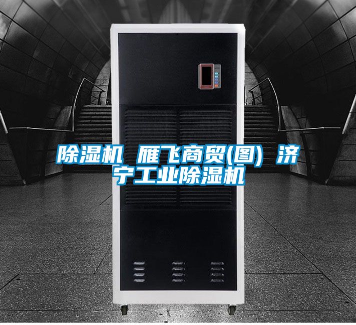 除濕機 雁飛商貿(圖) 濟寧工業除濕機