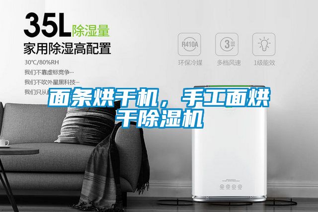 面條烘干機，手工面烘干除濕機