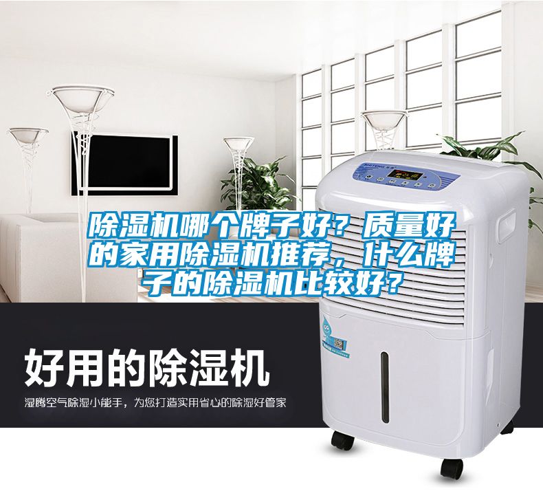 除濕機哪個牌子好？質量好的家用除濕機推薦，什么牌子的除濕機比較好？