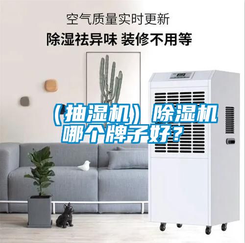 （抽濕機）除濕機哪個牌子好？