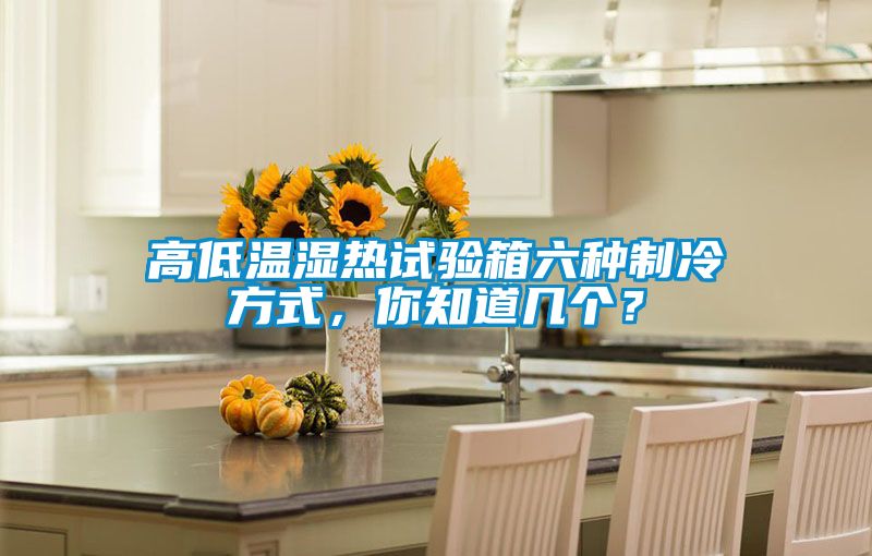 高低溫濕熱試驗箱六種制冷方式，你知道幾個？