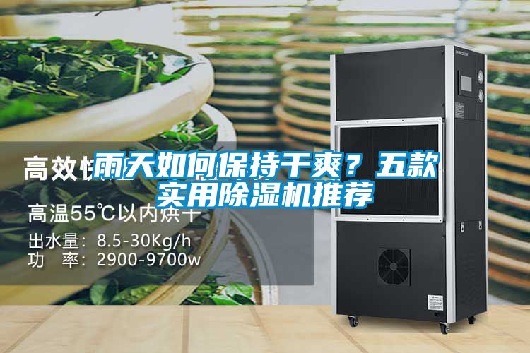 雨天如何保持干爽？五款實用除濕機推薦