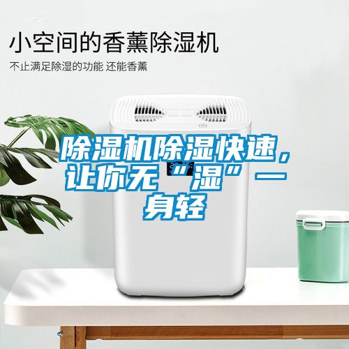 除濕機除濕快速，讓你無“濕”一身輕