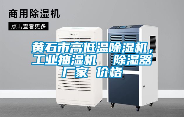 黃石市高低溫除濕機，工業抽濕機  除濕器廠家 價格