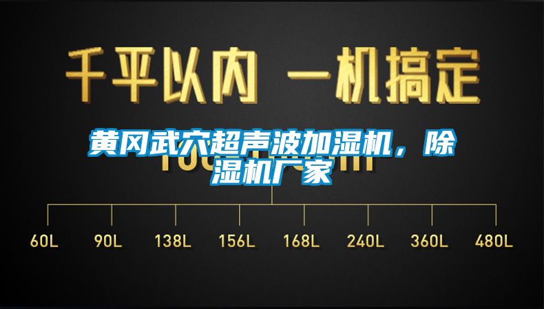 黃岡武穴超聲波加濕機，除濕機廠家