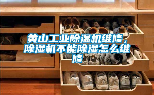 黃山工業除濕機維修，除濕機不能除濕怎么維修