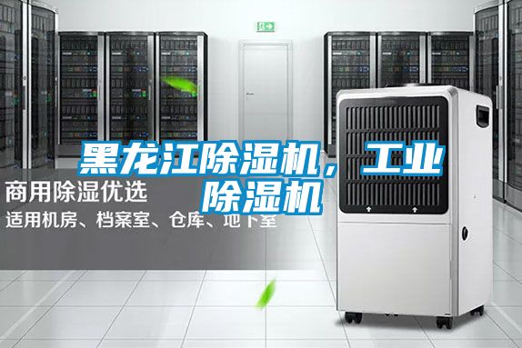 黑龍江除濕機，工業除濕機