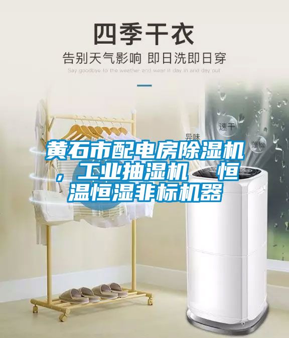 黃石市配電房除濕機，工業抽濕機  恒溫恒濕非標機器