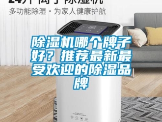企業新聞除濕機哪個牌子好？推薦最新最受歡迎的除濕品牌