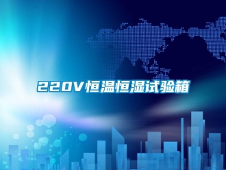 常見問題220V恒溫恒濕試驗箱