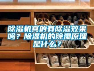 行業新聞除濕機真的有除濕效果嗎？除濕機的除濕原理是什么？