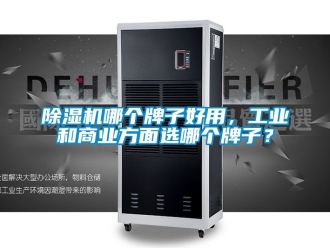 常見問題除濕機哪個牌子好用，工業和商業方面選哪個牌子？