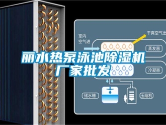 企業新聞麗水熱泵泳池除濕機廠家批發