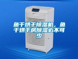 知識百科魚干烘干除濕機，魚干烘干房除濕必不可少