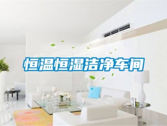知識百科恒溫恒濕潔凈車間