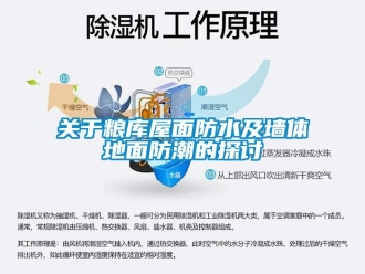 常見問題關于糧庫屋面防水及墻體地面防潮的探討