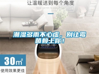 企業新聞潮濕多雨不心虛，別讓霉菌賴上你！