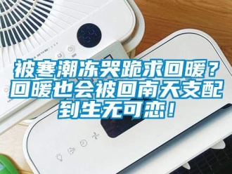 常見問題被寒潮凍哭跪求回暖？回暖也會被回南天支配到生無可戀！