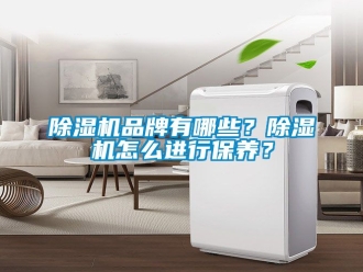 企業新聞除濕機品牌有哪些？除濕機怎么進行保養？