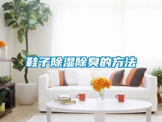 企業新聞鞋子除濕除臭的方法