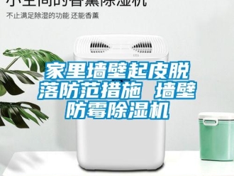 行業新聞家里墻壁起皮脫落防范措施 墻壁防霉除濕機