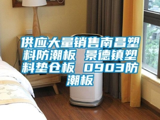 常見問題供應大量銷售南昌塑料防潮板 景德鎮塑料墊倉板 0903防潮板