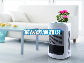 常見問題家居防潮知識
