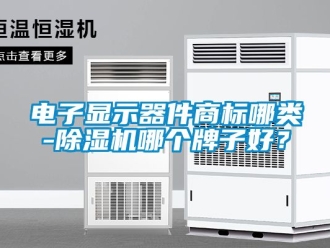 行業新聞電子顯示器件商標哪類-除濕機哪個牌子好？