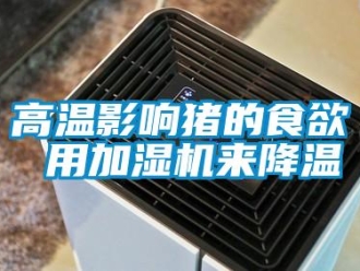 企業新聞高溫影響豬的食欲 用加濕機來降溫