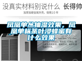 企業新聞鳳凰單叢抽濕效果，鳳凰單樅荼葉浸蜂蜜有什么效果
