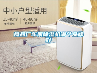 企業新聞食品廠車間除濕機哪個品牌好
