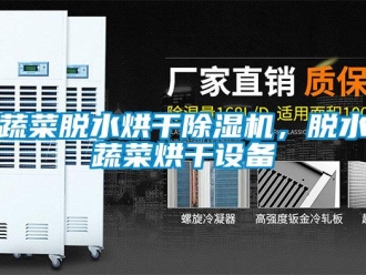知識百科蔬菜脫水烘干除濕機，脫水蔬菜烘干設備