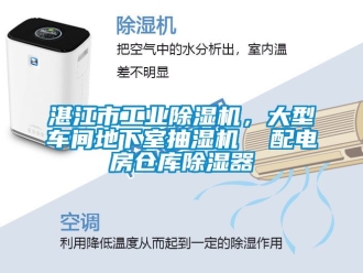 常見問題湛江市工業除濕機，大型車間地下室抽濕機  配電房倉庫除濕器