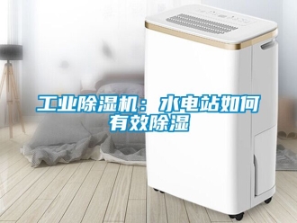 常見問題工業除濕機：水電站如何有效除濕