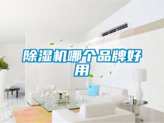 企業新聞除濕機哪個品牌好用