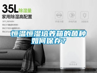 知識百科恒溫恒濕培養箱的菌種如何保存？
