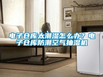 企業新聞電子倉庫太潮濕怎么辦？電子倉庫防潮空氣抽濕機