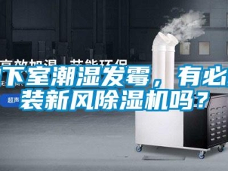 常見問題地下室潮濕發霉，有必要裝新風除濕機嗎？