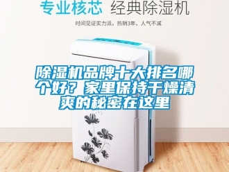 企業新聞除濕機品牌十大排名哪個好？家里保持干燥清爽的秘密在這里