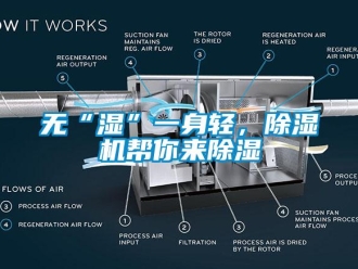 知識百科無“濕”一身輕，除濕機幫你來除濕