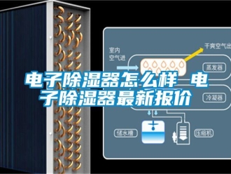 行業新聞電子除濕器怎么樣 電子除濕器最新報價