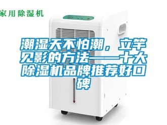 企業新聞潮濕天不怕潮，立竿見影的方法——十大除濕機品牌推薦好口碑