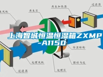 知識百科上海智城恒溫恒濕箱ZXMP-A1150