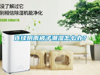 常見問題連續陰雨被子潮濕怎么辦？