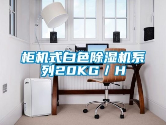 行業新聞柜機式白色除濕機系列20KG／H