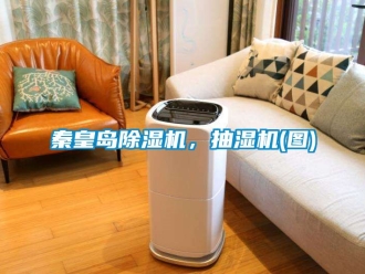行業新聞秦皇島除濕機，抽濕機(圖)