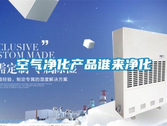 行業新聞空氣凈化產品誰來凈化