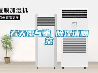 企業新聞春天濕氣重 除濕請喝茶