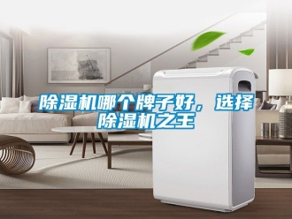 行業新聞除濕機哪個牌子好，選擇除濕機之王